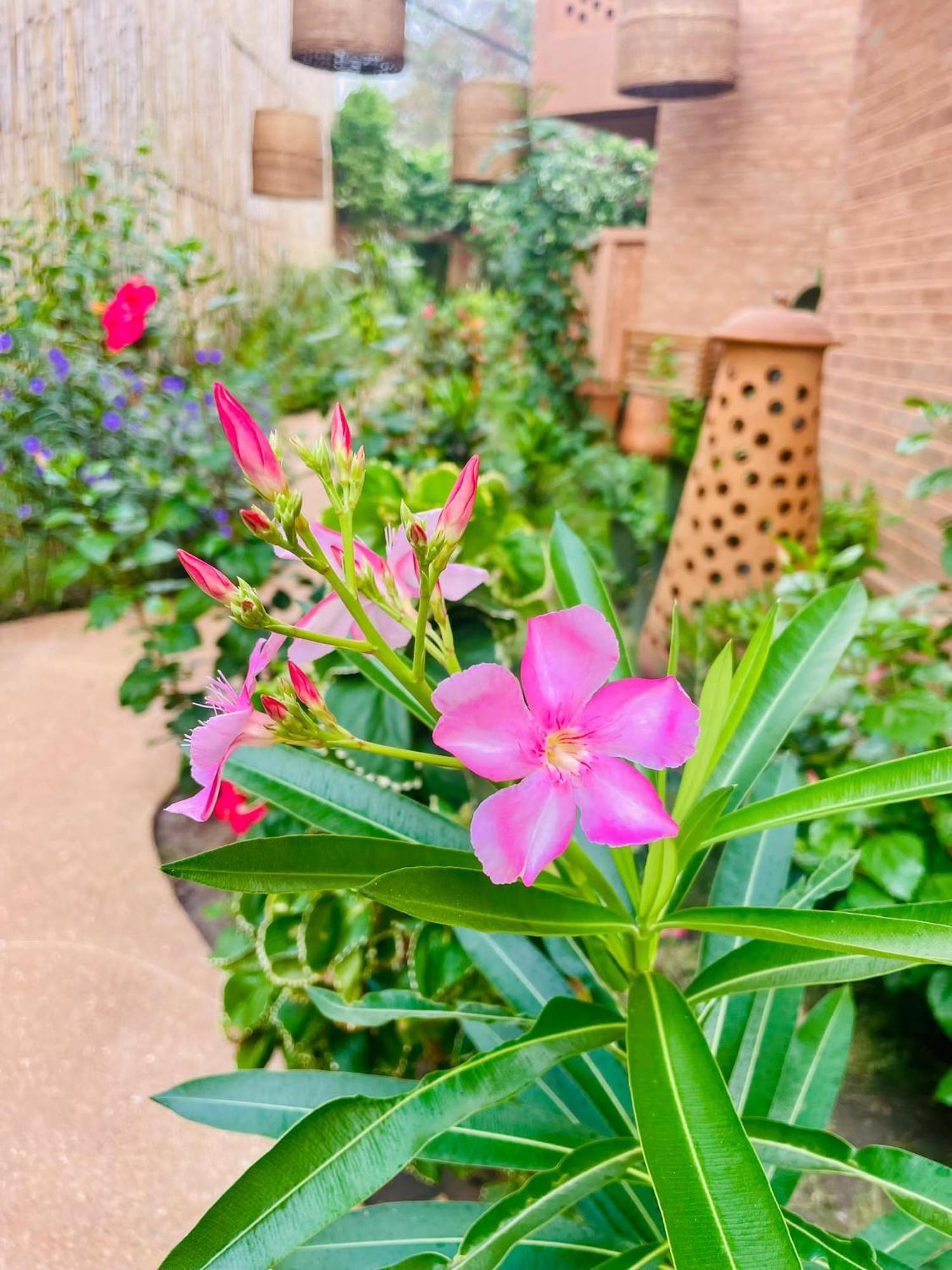 Le Patio Hotel โลเม ภายนอก รูปภาพ